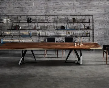 Libreria Lexington di Bontempi