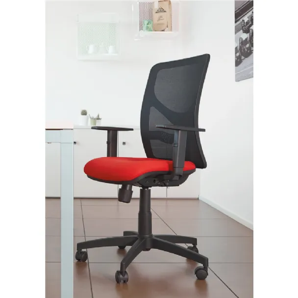 Seduta Operativa Ibis di Gierre